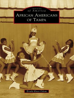 cover image of African Americans of Tampa